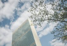 Las Naciones Unidas: Un catalizador para el desarrollo sostenible brown concrete building under blue sky during daytime